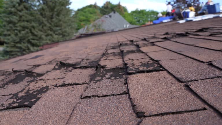 Best Roofing for New Construction  in Binghamton, NY